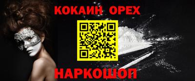 крисы Можга