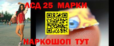 крисы Можга