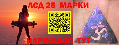 крисы Можга