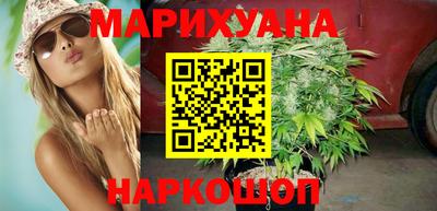 крисы Можга