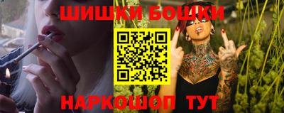 крисы Можга