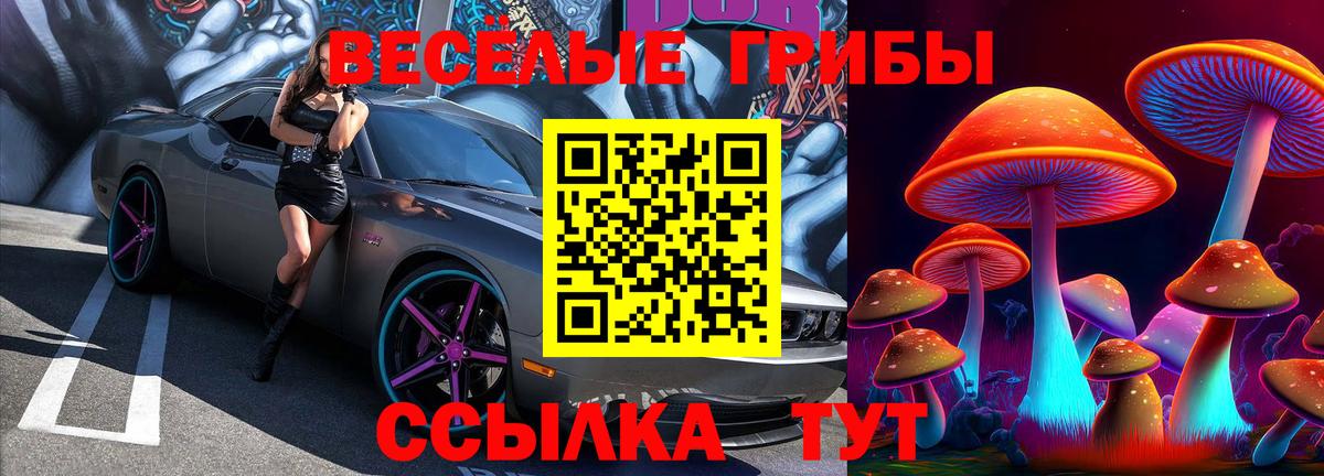 Псилоцибиновые грибы ЛСД Владикавказ