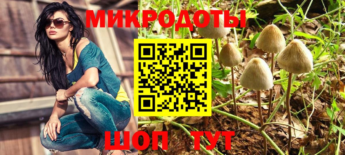 Псилоцибиновые грибы Magic Shrooms  купить наркотики сайты  Псилоцибиновые грибы Psilocybine cubensis  Владикавказ  Вход с VPN 