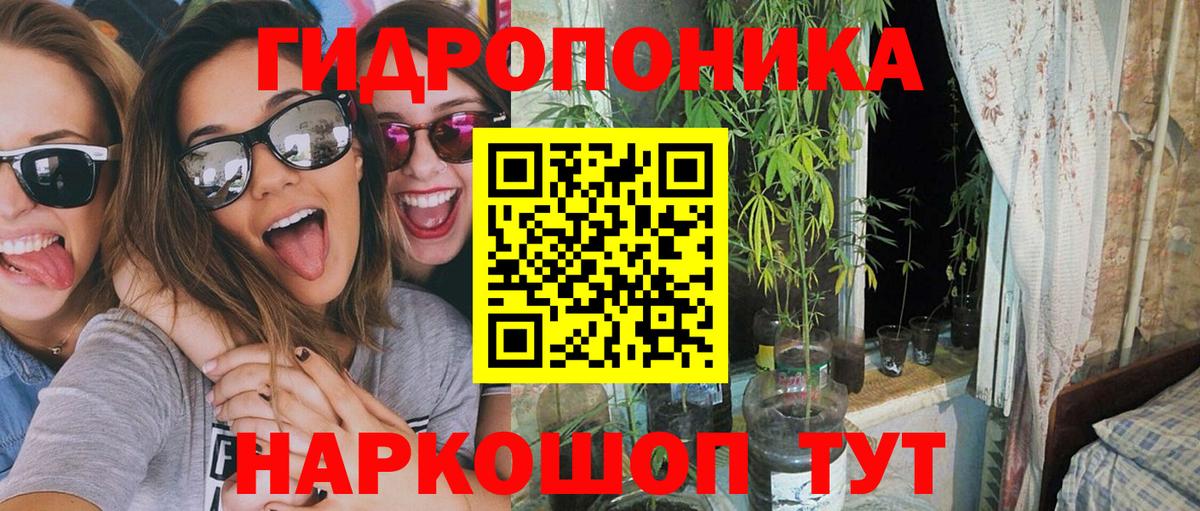 Бошки марихуана сатива Владикавказ